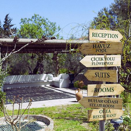 Olive Farm Of Datca Guesthouse (Adults Only) Eksteriør billede