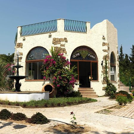 Olive Farm Of Datca Guesthouse (Adults Only) Eksteriør billede