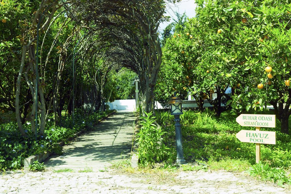 Olive Farm Of Datca Guesthouse (Adults Only) Eksteriør billede