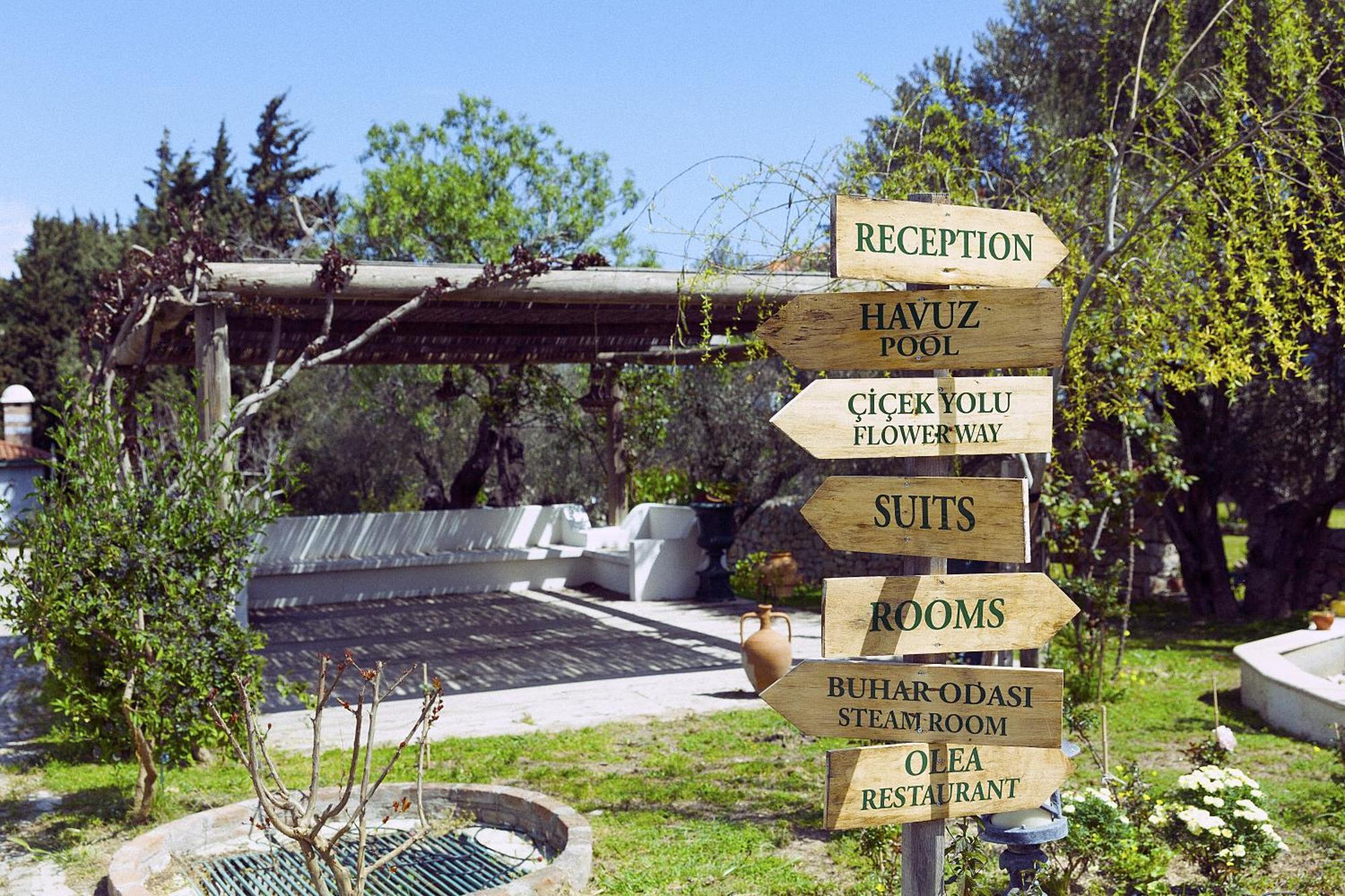 Olive Farm Of Datca Guesthouse (Adults Only) Eksteriør billede