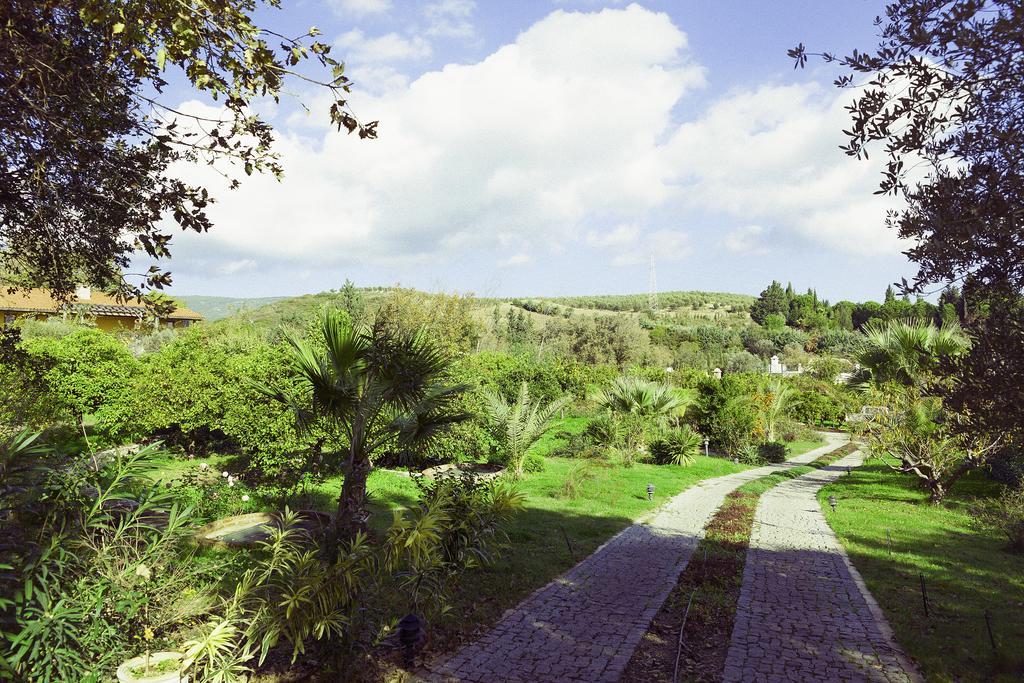 Olive Farm Of Datca Guesthouse (Adults Only) Eksteriør billede