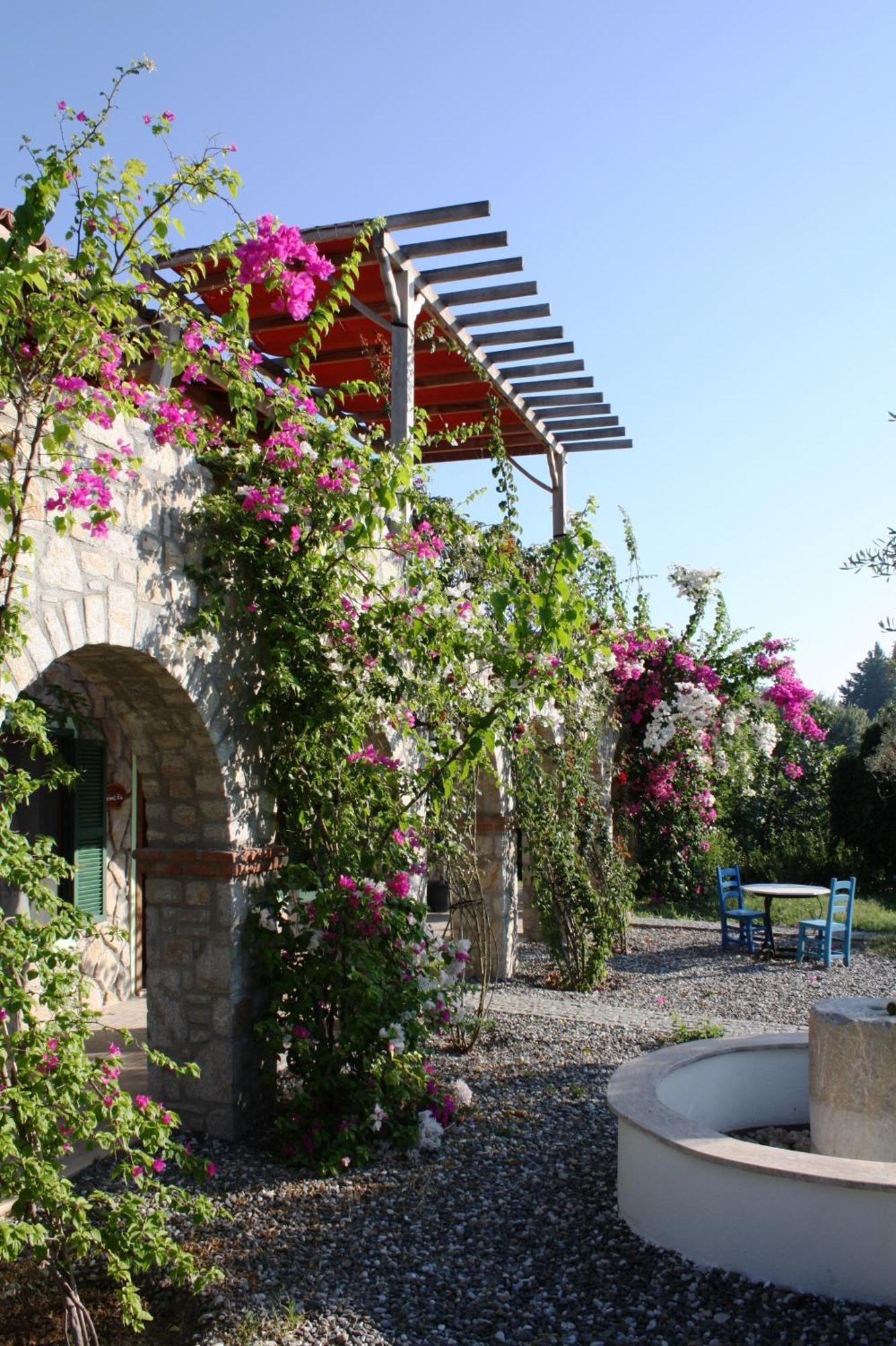 Olive Farm Of Datca Guesthouse (Adults Only) Eksteriør billede