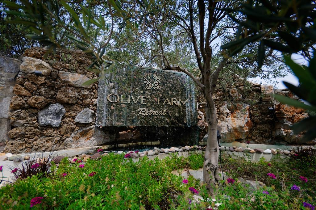 Olive Farm Of Datca Guesthouse (Adults Only) Eksteriør billede