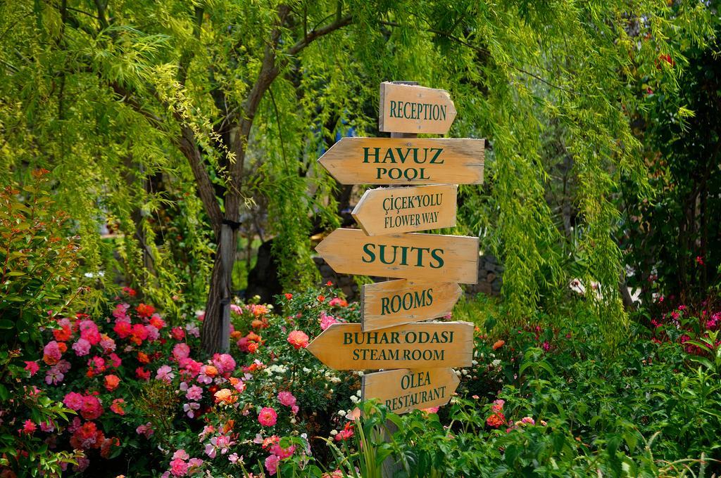 Olive Farm Of Datca Guesthouse (Adults Only) Eksteriør billede