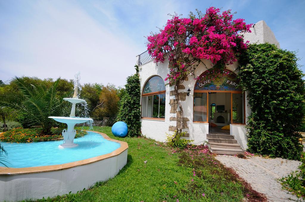 Olive Farm Of Datca Guesthouse (Adults Only) Eksteriør billede
