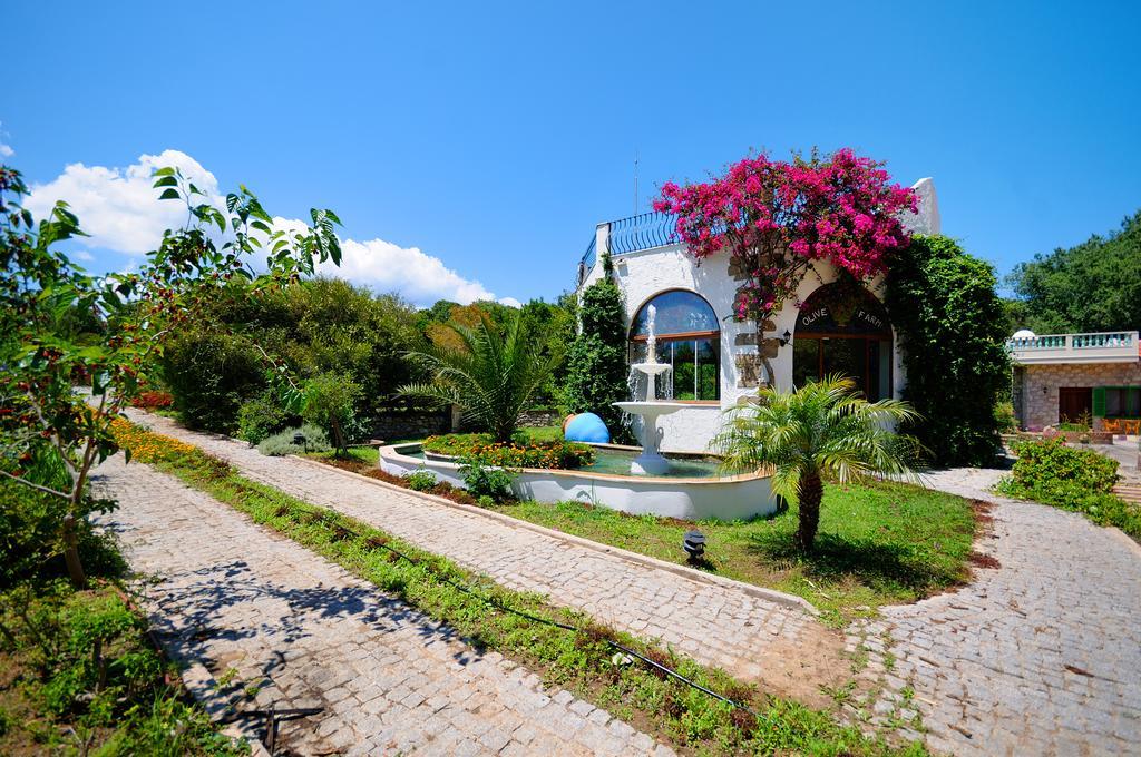 Olive Farm Of Datca Guesthouse (Adults Only) Eksteriør billede
