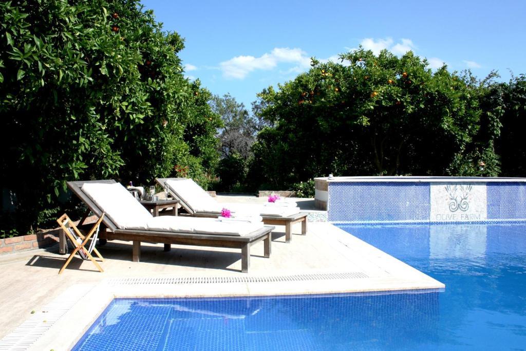Olive Farm Of Datca Guesthouse (Adults Only) Eksteriør billede